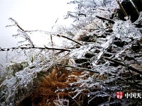 神农架现罕见冰挂景观 