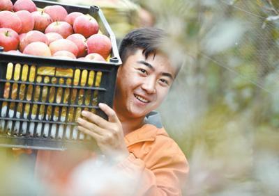 盘点2017年十项掷地有声的好政策