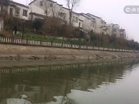 仙桃通顺河整治杜绝畜禽和养殖污染 创建美丽乡村