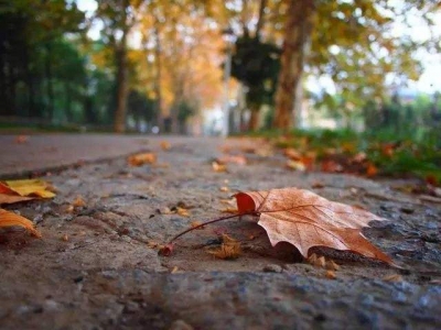 体感2℃：武汉温度创今冬新低！啥时下雪？专家这样说