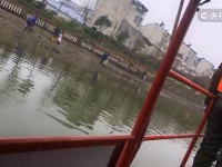 仙桃通顺河整治杜绝畜禽和养殖污染 创建美丽乡村