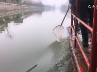 仙桃通顺河整治杜绝畜禽和养殖污染 创建美丽乡村