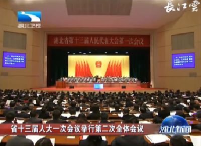 V视 | 湖北省十三届人大一次会议举行第二次全体会议