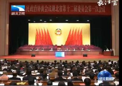 V视 | 湖北省政协十二届一次会议举行预备会议
