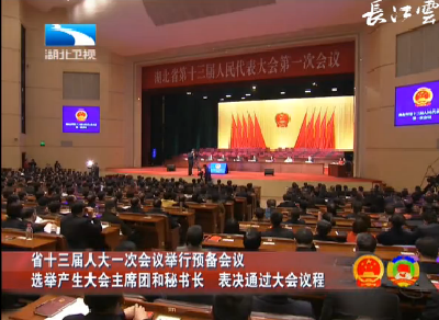 V视 | 湖北省十三届人大一次会议举行预备会议 选举产生大会主席团和秘书长 表决通过大会议程