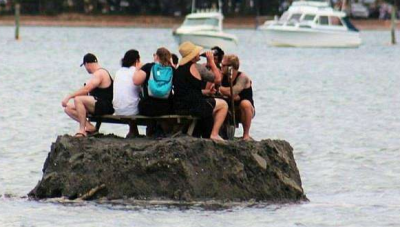 为逃禁酒令 新西兰人自建“小岛”饮酒迎新年