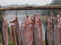 2018湖北乡村美食购物游