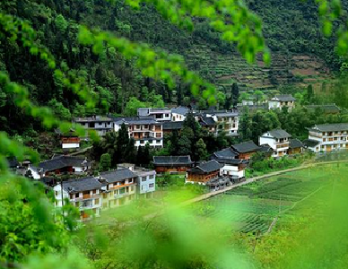 湖北力争今年建成1000个高水平绿色示范乡村