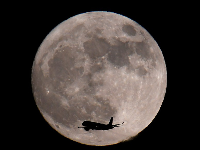 世界多地城市被“超级月亮”点亮