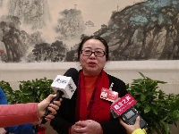 图集 | 各地政协委员接受湖北广电记者采访