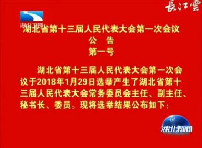 ​V视 | 湖北省第十三届人民代表大会第一次会议公告第一号 