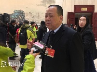 图集 | 各地政协委员接受湖北广电记者采访