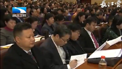 湖北省政协十二届一次会议举行第二次大会