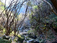 探访沧浪山国家森林公园