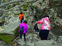 探访沧浪山国家森林公园