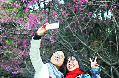 阳光开启狗年首个工作日 湖北未来三天晴雨相间气温回升