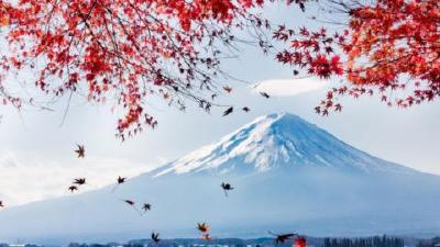 报告称日本南部海沟未来30年内特大地震概率升至80%