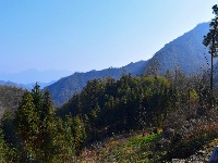 探访沧浪山国家森林公园
