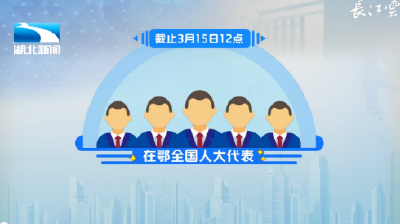 V视 | 在鄂全国人大代表提交议案9件 建议325件