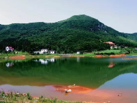 武穴的油菜花海 总有让你意想不到的美！