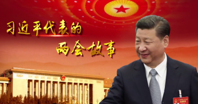 习近平代表的两会故事