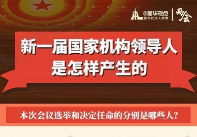 图解｜新一届国家机构领导人如何产生？