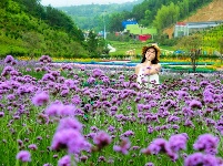 百花争艳   情园有约 