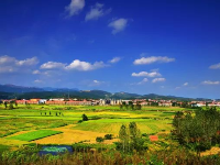 武穴的油菜花海 总有让你意想不到的美！