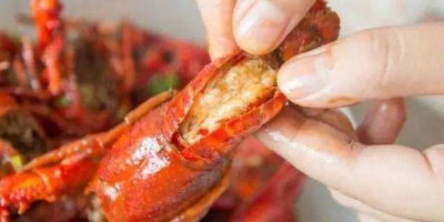 小龙虾吃多体内会长寄生虫？5月这些谣言你入坑了吗