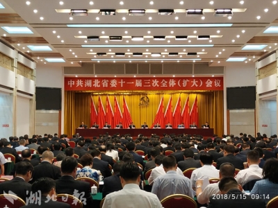 V视 | 中共湖北省委十一届三次全体（扩大）会议召开