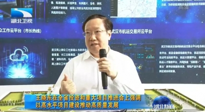 湖北省省长王晓东：抓好它，就抓住了高质量发展的顶梁柱！