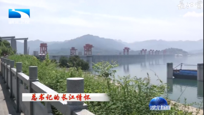 V视 | 总书记的长江情怀