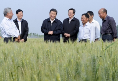 习近平引领中国经济“新”“高”“度”