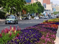 志愿者上岗服务上合青岛峰会