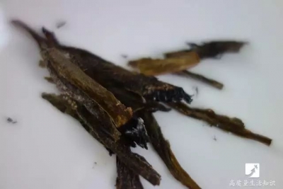 他在电风扇上贴个创可贴，竟出现了神奇的一幕...夏天你一定要知道!