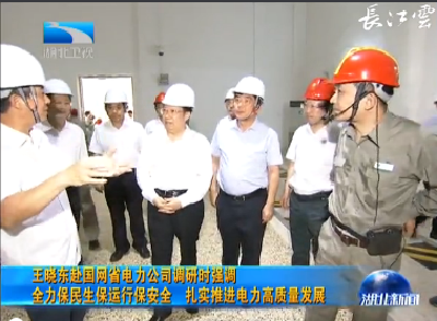 V视丨王晓东：扎实推进电力高质量发展