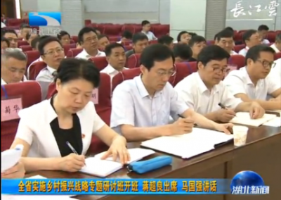 V视 | 全省实施乡村振兴战略专题研讨班开班 蒋超良出席 马国强讲话