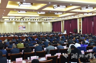 蒋超良：用心用情用力精准做好对口援藏工作