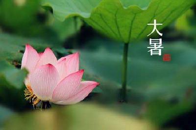 23日5时“大暑”：多喝水常食粥，祛暑热待秋来