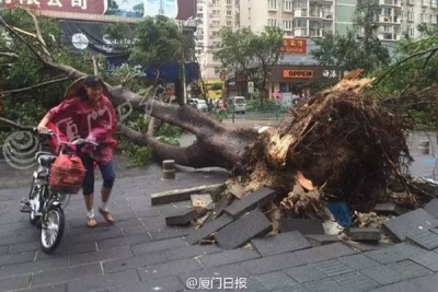 这些地方可能将遭狂风暴雨！风王“玛莉亚”来了