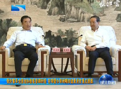 V视丨张庆黎率全国政协提案委调研组 在鄂督办调研精准健康脱贫重点提案