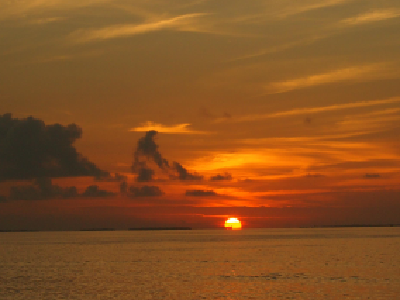 17.3%！中国科学家刷新有机太阳能电池转化效率