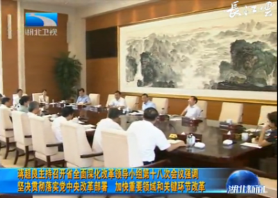 蒋超良：坚决贯彻落实党中央改革部署 加快重要领域和关键环节改革