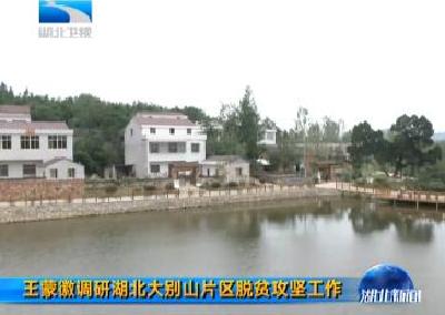 V视 | 王蒙徽调研湖北大别山片区脱贫攻坚工作