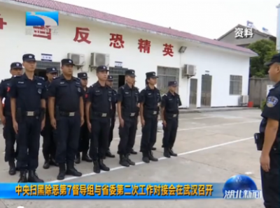 V视 | 中央扫黑除恶第7督导组与省委第二次工作对接会在武汉召开