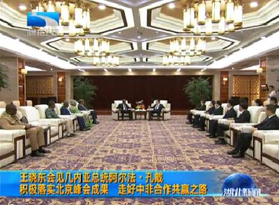 V视 | 王晓东会见几内亚总统阿尔法·孔戴  积极落实北京峰会成果 走好中非合作共赢之路