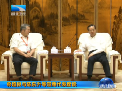 V视丨蒋超良与陈东升等楚商代表座谈