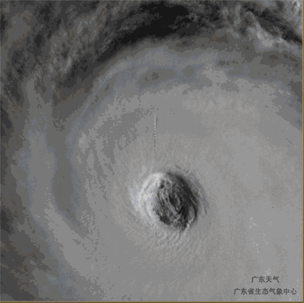 紧急！“山竹”来了！武汉站103趟列车停运，部分航班取消