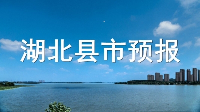 长江云——湖北78县市天气预报（7月23日发布） 