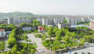 精准“画像”靶向发力黄石下陆让巡察不走过场